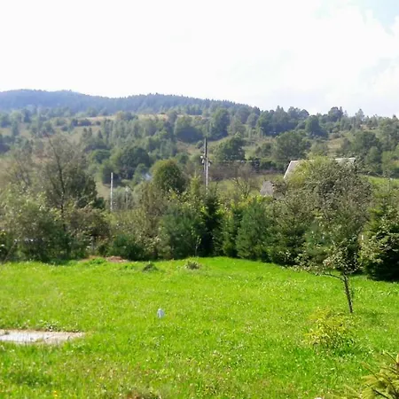 смерековий двір Séjour à la campagne *